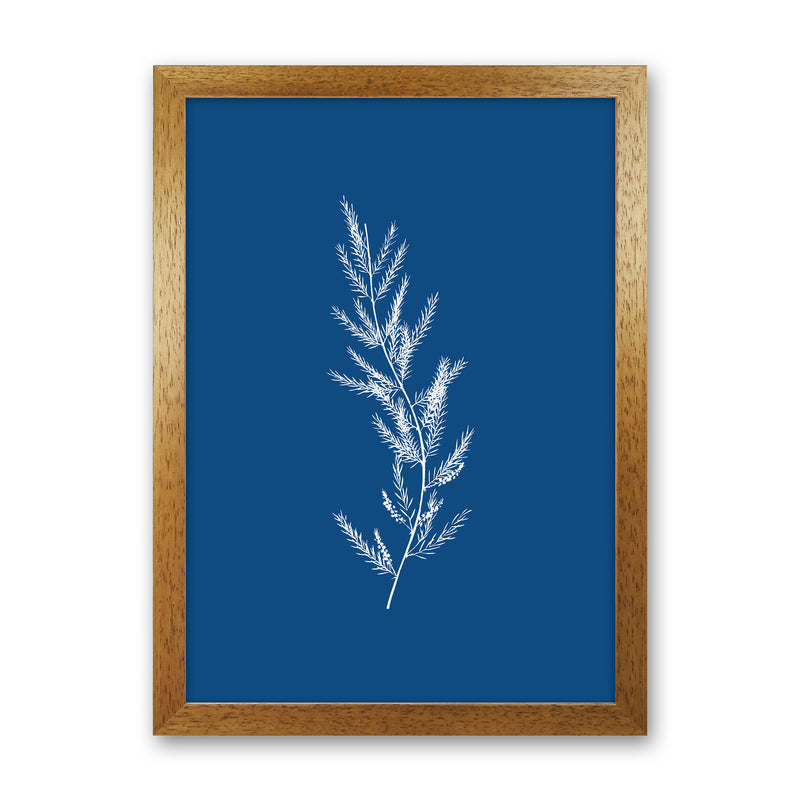 Blue Botanical II Art Print by Seven Trees Design Oak Grain