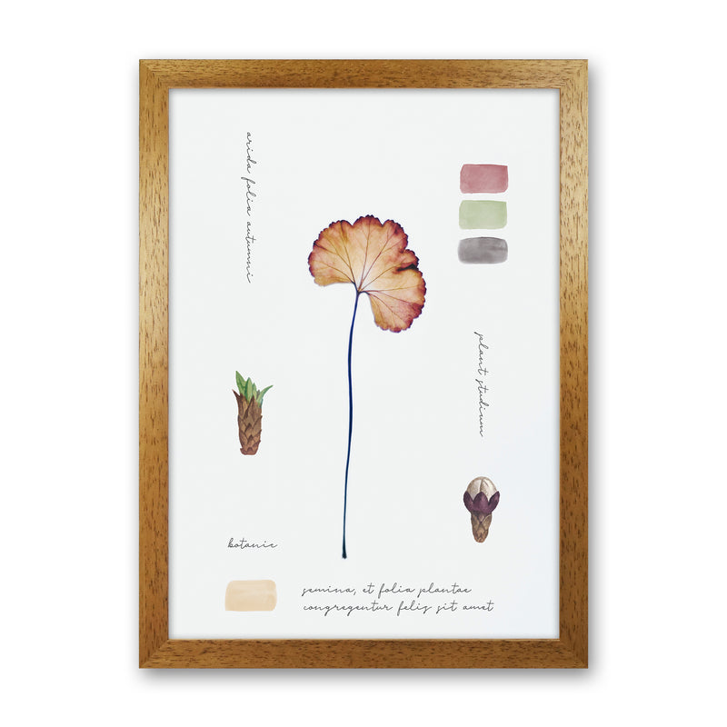 Botanic Notes Art Print by Seven Trees Design Oak Grain