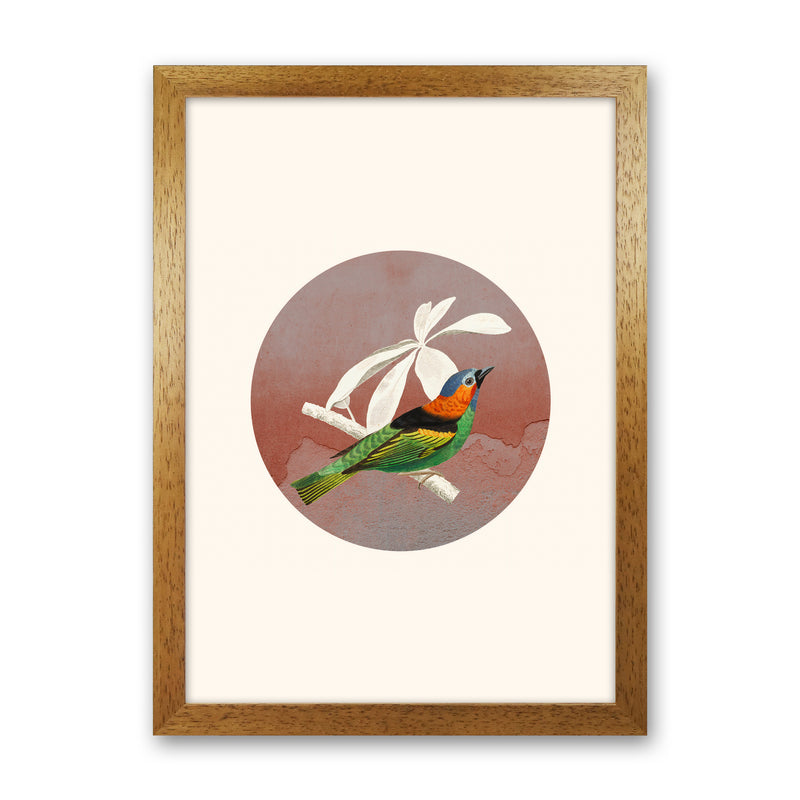 Bird Collage II Art Print by Seven Trees Design Oak Grain