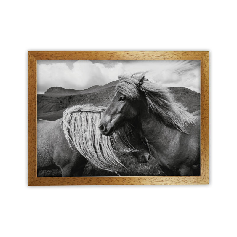 Horses In The Sky Photography Art Print by Seven Trees Design Oak Grain