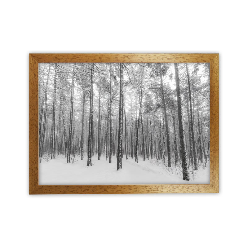 Let it snow forest Art Print by Seven Trees Design Oak Grain