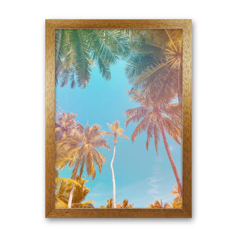 Palms Paradise Art Print by Seven Trees Design Oak Grain