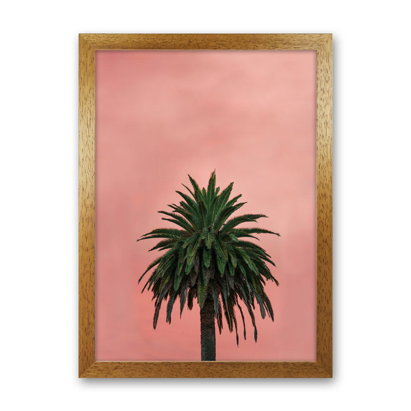 Pink Palm Abstract Art Print by Seven Trees Design Oak Grain