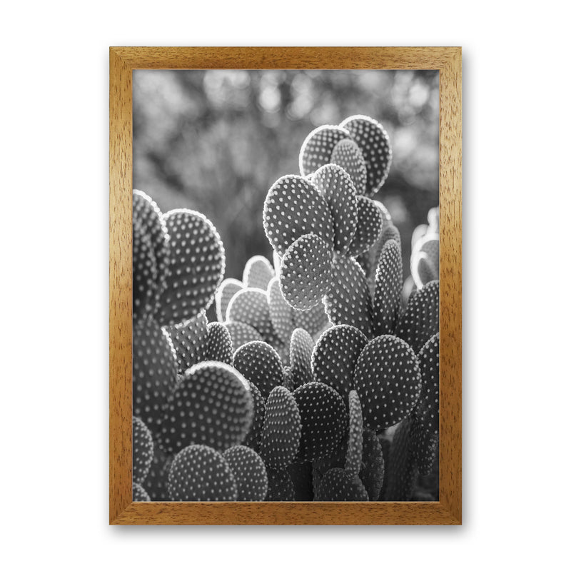 The Cacti Cactus B&W Art Print by Seven Trees Design Oak Grain