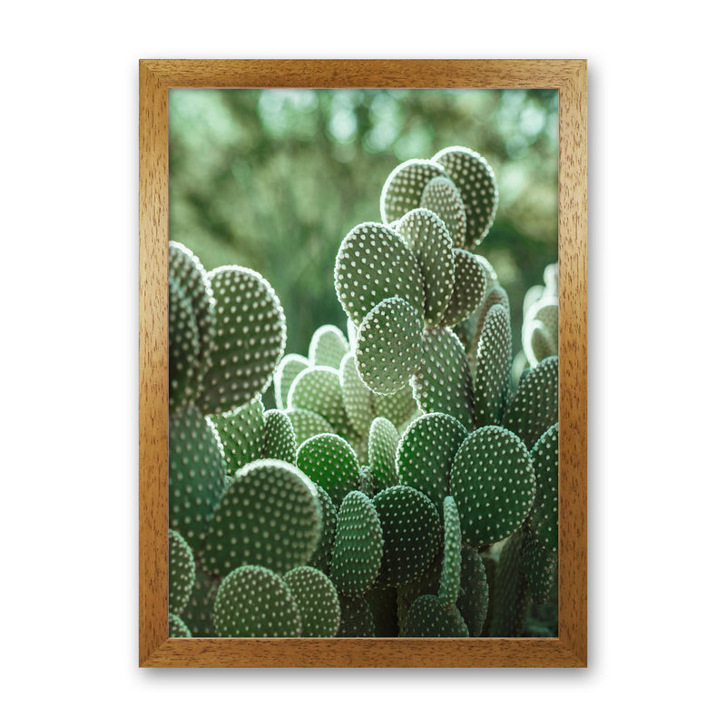 The Cacti Cactus Photography Art Print by Seven Trees Design Oak Grain