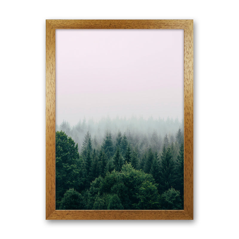 The Fog And The Forest I Photography Art Print by Seven Trees Design Oak Grain