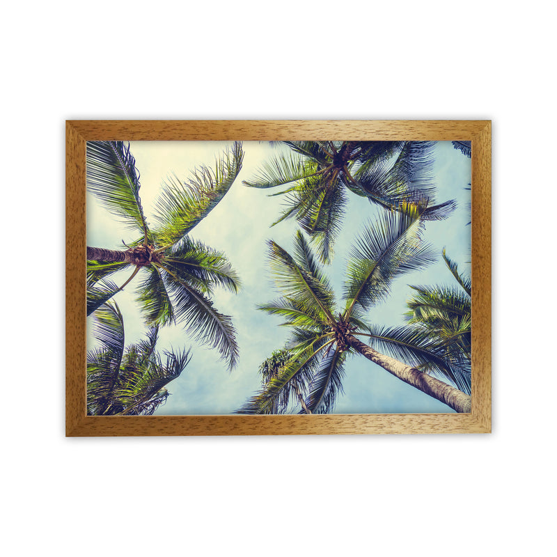 The Palms Photography Art Print by Seven Trees Design Oak Grain