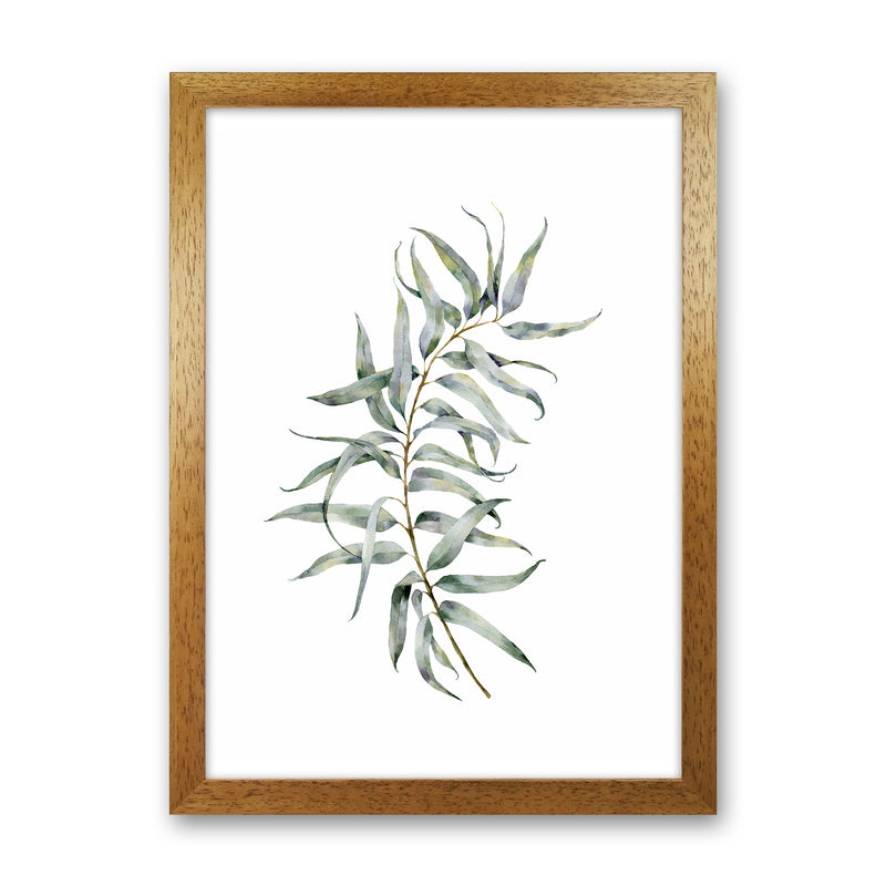 Watercolor Eucalyptus IV Art Print by Seven Trees Design Oak Grain
