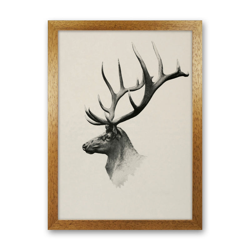 Mountain Reindeer Art Print by Seven Trees Design Oak Grain