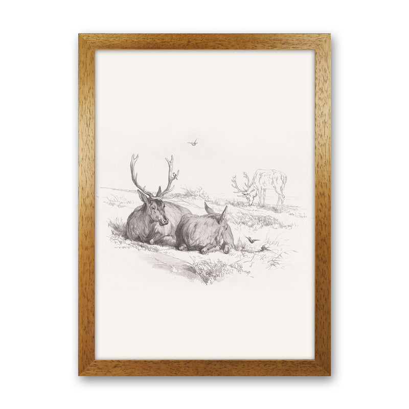 Reindeer Chilling Art Print by Seven Trees Design Oak Grain