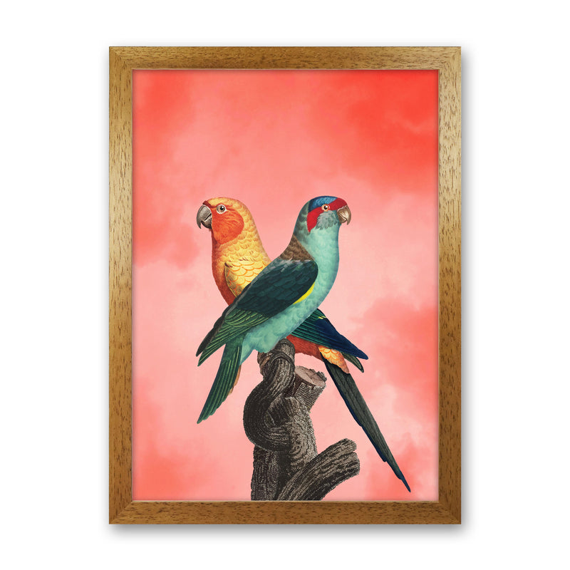 The Birds and the pink sky I Art Print by Seven Trees Design Oak Grain