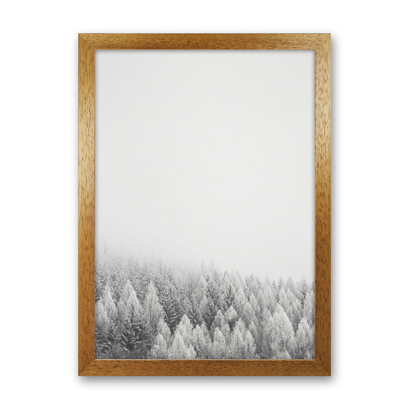 The White Forest Art Print by Seven Trees Design Oak Grain