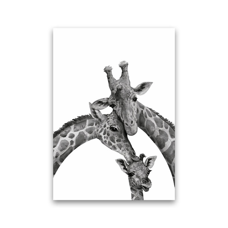 Giraffe Family Photography Art Print by Seven Trees Design Print Only