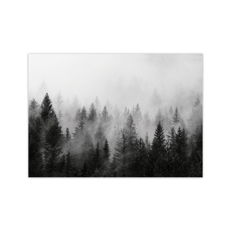 B&W Forest Photography Art Print by Seven Trees Design Print Only