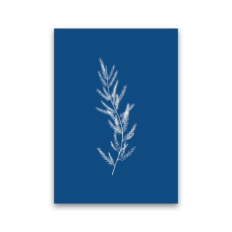 Blue Botanical II Art Print by Seven Trees Design Print Only