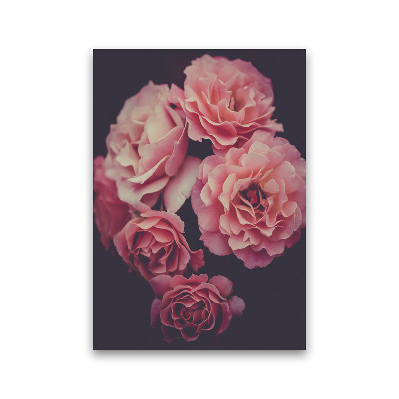 Dreamy Roses Art Print by Seven Trees Design Print Only