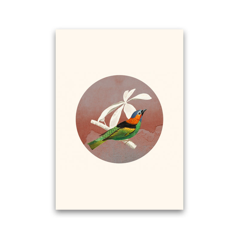 Bird Collage II Art Print by Seven Trees Design Print Only