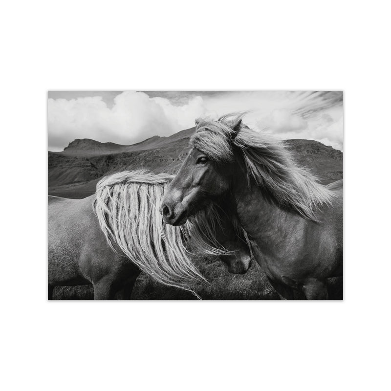 Horses In The Sky Photography Art Print by Seven Trees Design Print Only