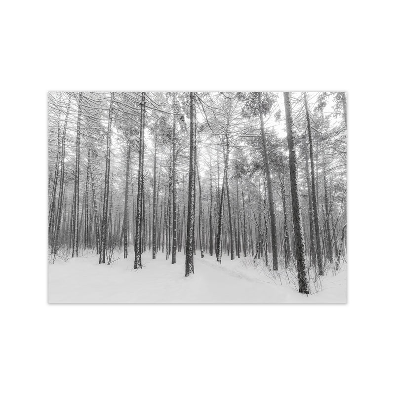 Let it snow forest Art Print by Seven Trees Design Print Only