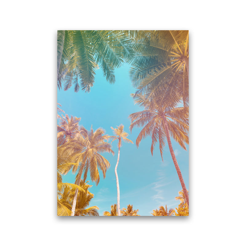Palms Paradise Art Print by Seven Trees Design Print Only