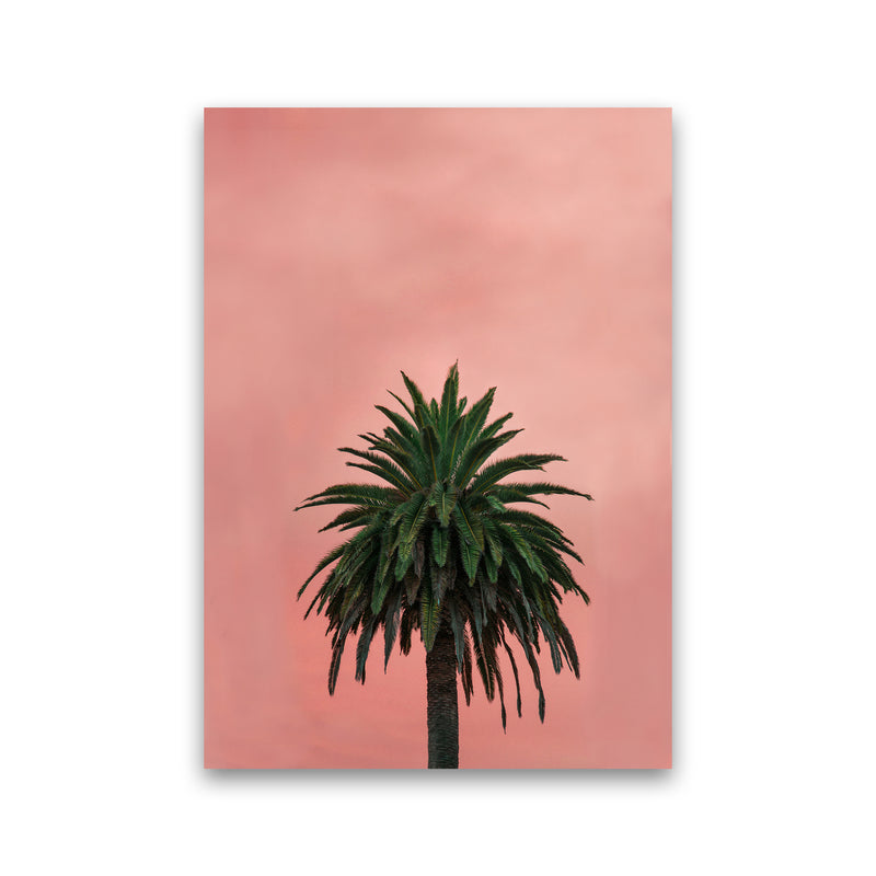 Pink Palm Abstract Art Print by Seven Trees Design Print Only