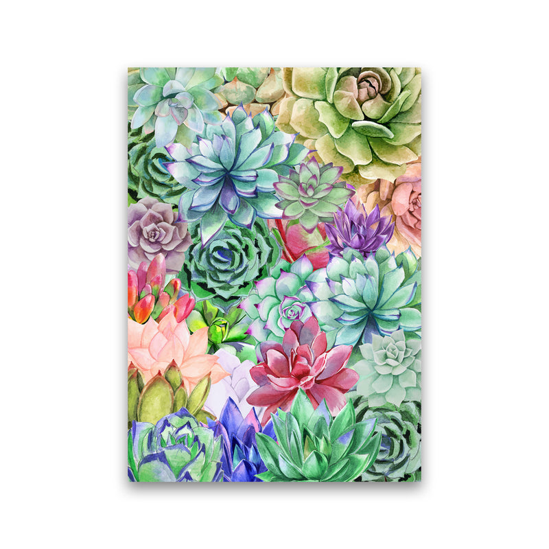 Succulents Paradise Botanical Art Print by Seven Trees Design Print Only