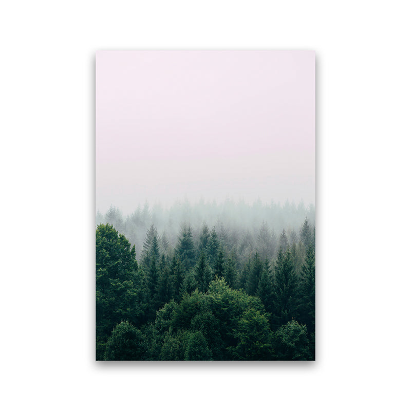 The Fog And The Forest I Photography Art Print by Seven Trees Design Print Only