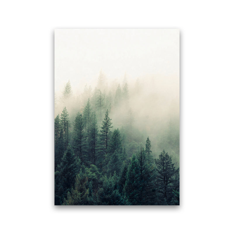 The Fog And The Forest II Photography Art Print by Seven Trees Design Print Only