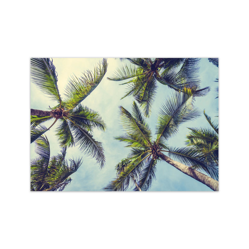 The Palms Photography Art Print by Seven Trees Design Print Only