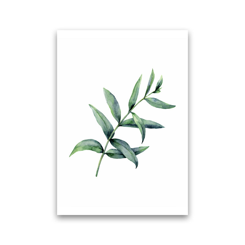 Watercolor Eucalyptus I Art Print by Seven Trees Design Print Only