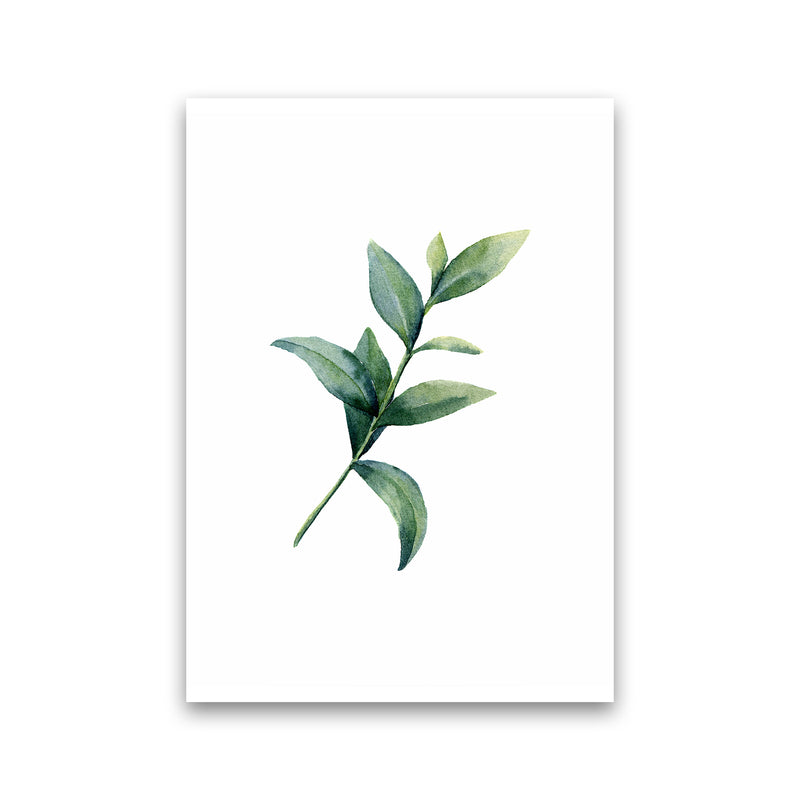 Watercolor Eucalyptus II Art Print by Seven Trees Design Print Only