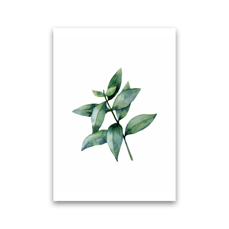 Watercolor Eucalyptus III Art Print by Seven Trees Design Print Only