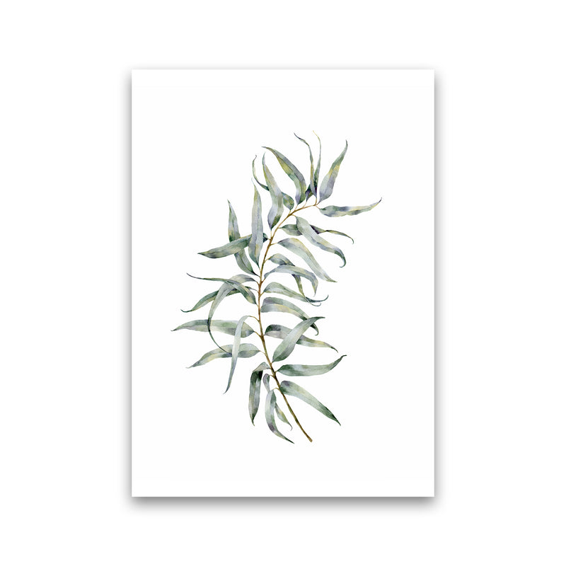 Watercolor Eucalyptus IV Art Print by Seven Trees Design Print Only