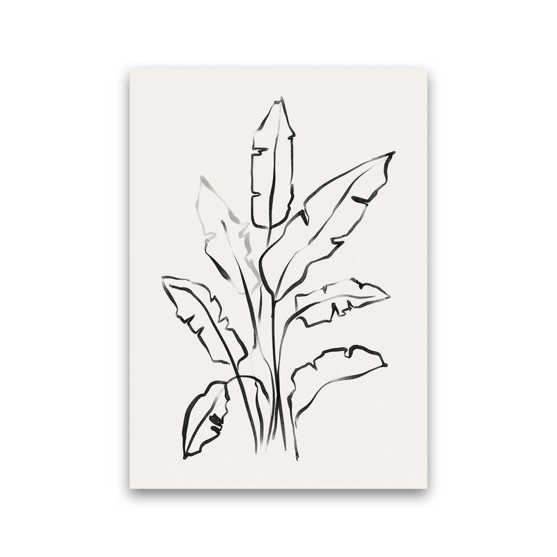Banana Leafs Drawing Art Print by Seven Trees Design Print Only