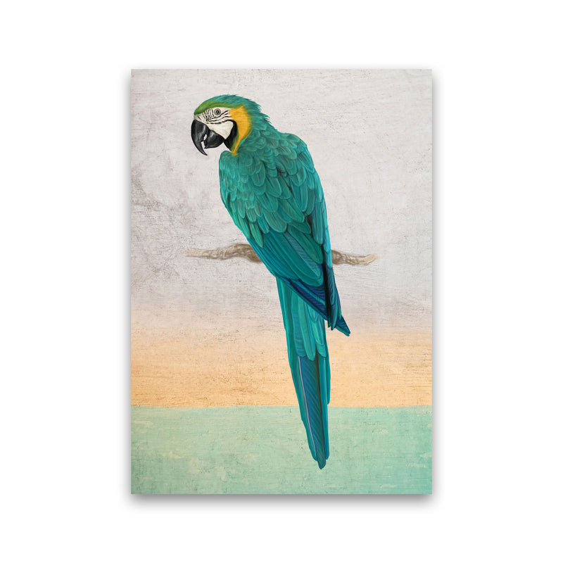 Graffiti Macaw Art Print by Seven Trees Design Print Only
