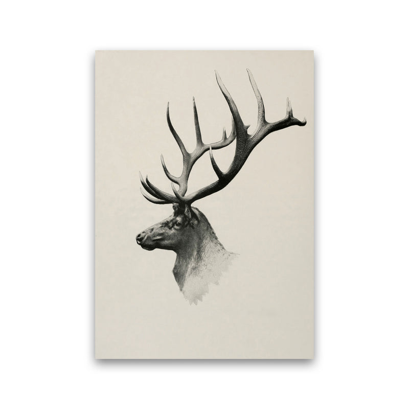Mountain Reindeer Art Print by Seven Trees Design Print Only