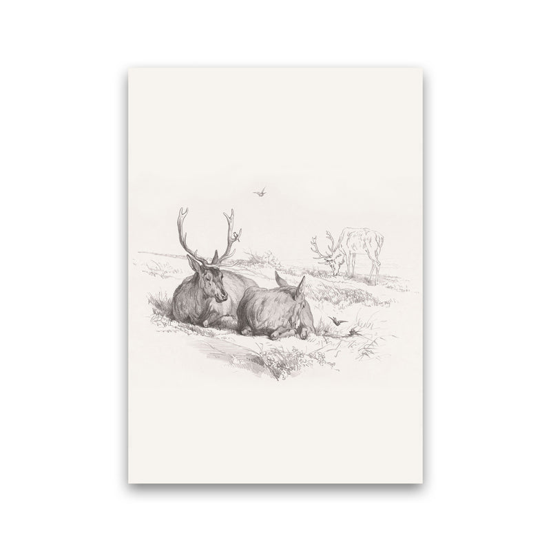 Reindeer Chilling Art Print by Seven Trees Design Print Only