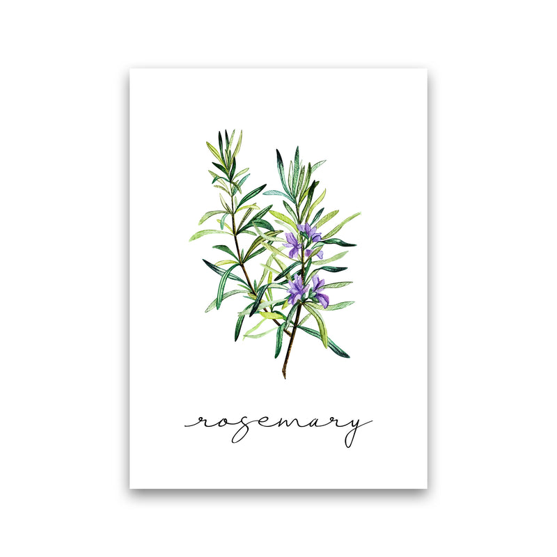 Rosemary Art Print by Seven Trees Design Print Only