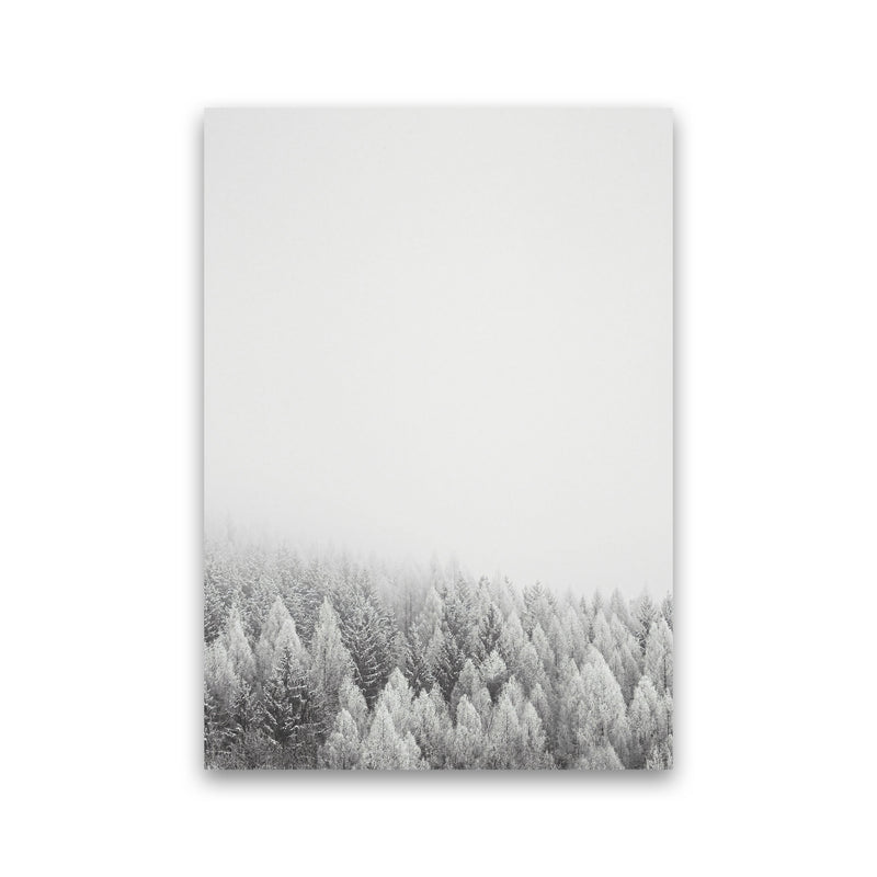 The White Forest Art Print by Seven Trees Design Print Only