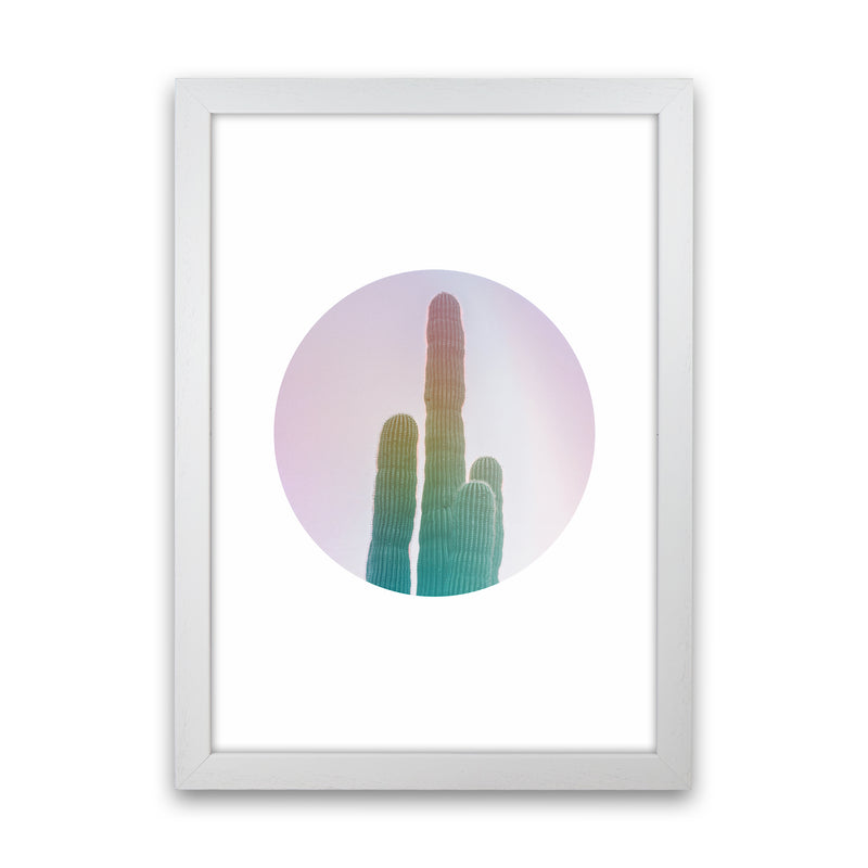 Circular Cacti Art Print by Seven Trees Design White Grain