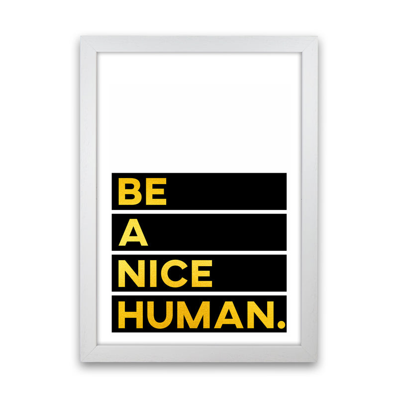Be a Nice Human Quote Art Print by Seven Trees Design White Grain