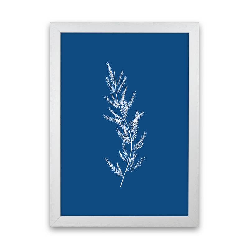 Blue Botanical II Art Print by Seven Trees Design White Grain