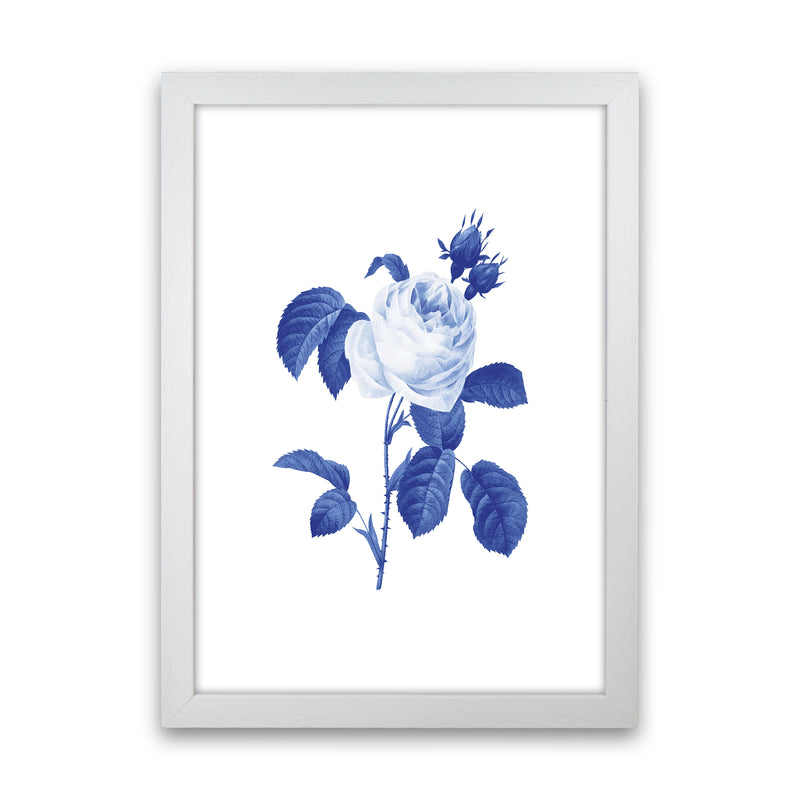 Blue botanic I Art Print by Seven Trees Design White Grain