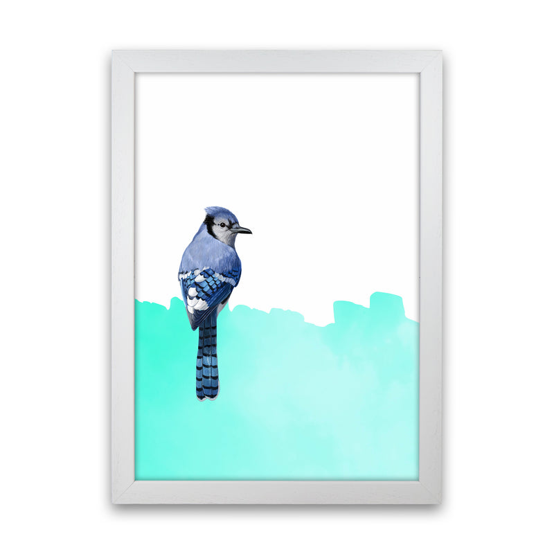 Bird Blue Art Print by Seven Trees Design White Grain