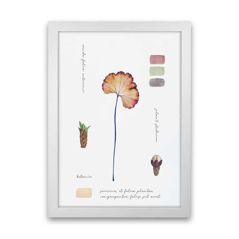 Botanic Notes Art Print by Seven Trees Design White Grain