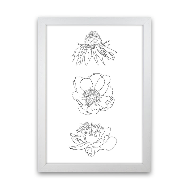 Hand Drawn Flowers Art Print by Seven Trees Design White Grain