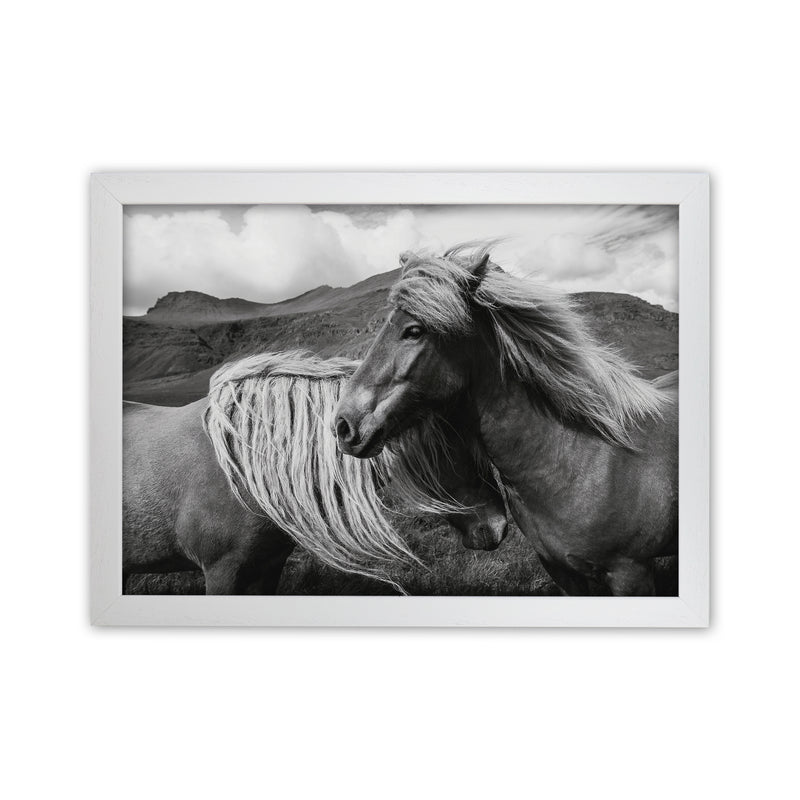 Horses In The Sky Photography Art Print by Seven Trees Design White Grain