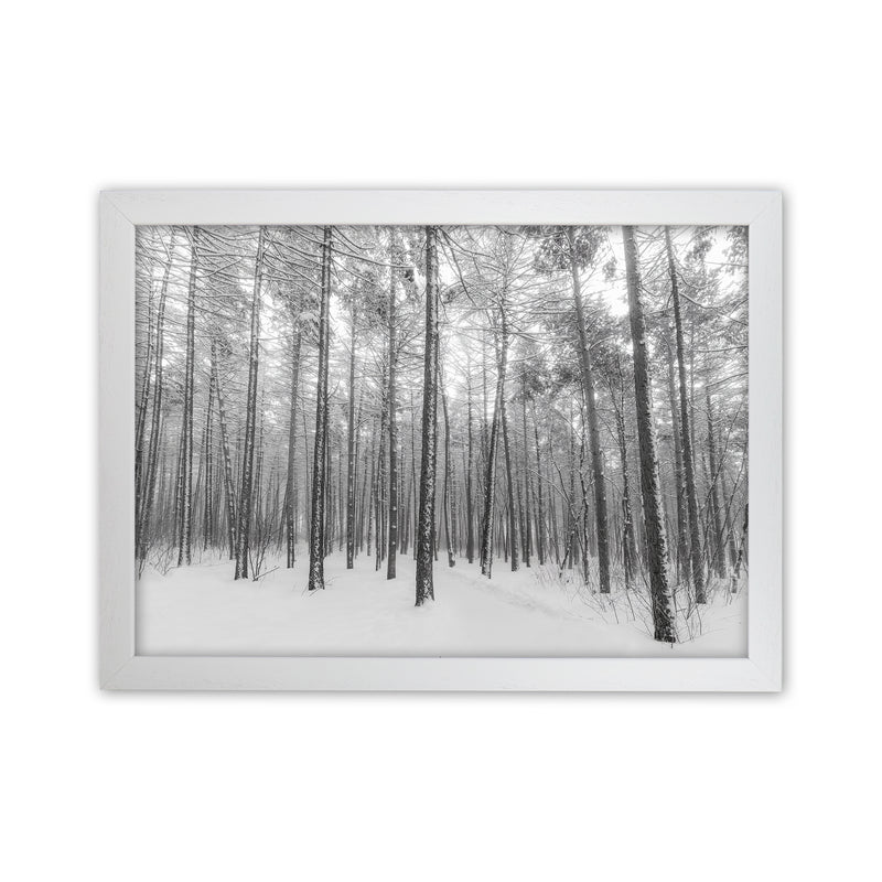 Let it snow forest Art Print by Seven Trees Design White Grain