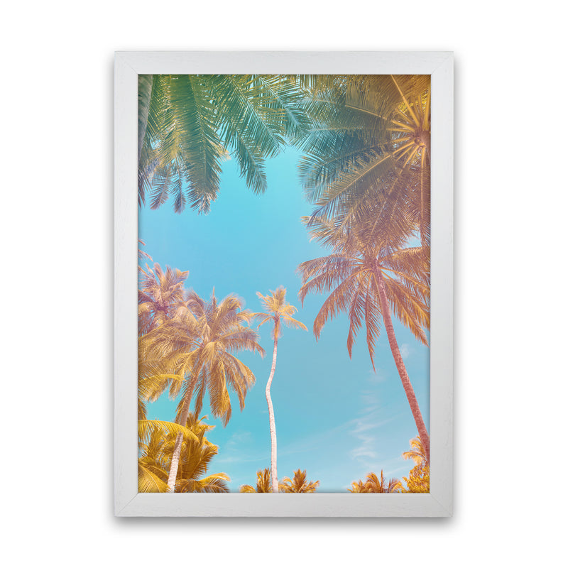 Palms Paradise Art Print by Seven Trees Design White Grain