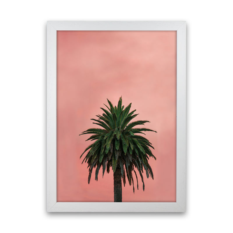 Pink Palm Abstract Art Print by Seven Trees Design White Grain